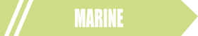 marine_Vector_Image